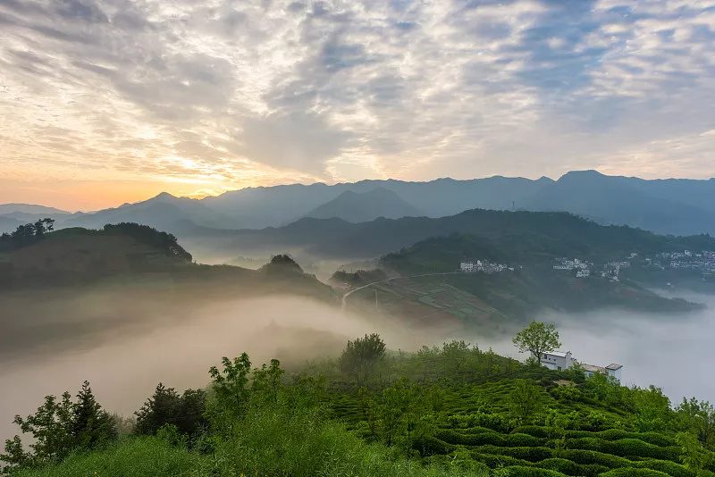 深山馈赠 · 地道山货