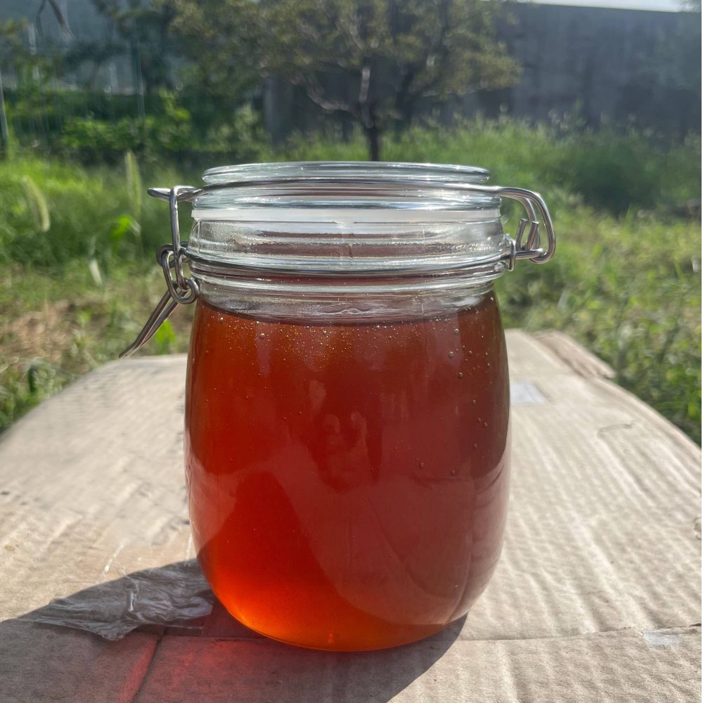 高山土蜂蜜 500g