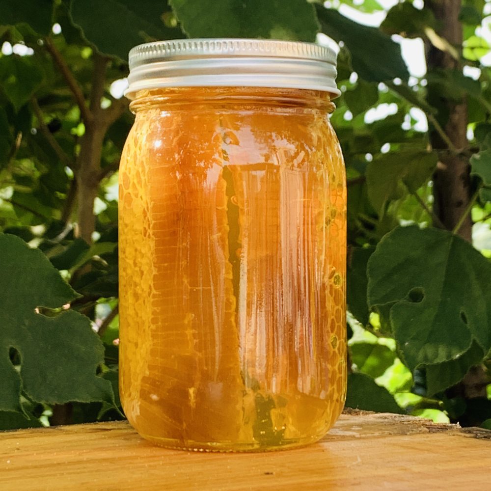 深山蜂巢蜜 500g