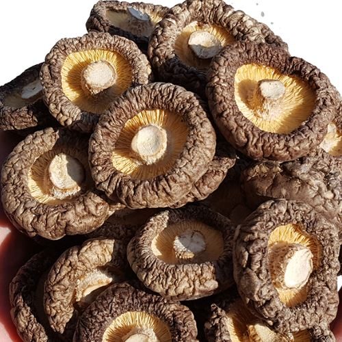野生椴木香菇 500g